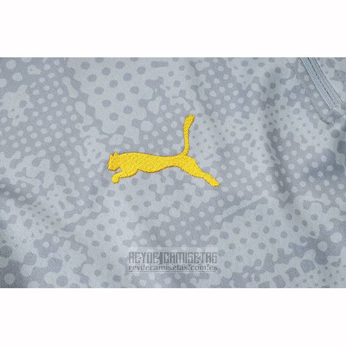 Chandal de Sudadera del Borussia Dortmund 2025-2026 Gris